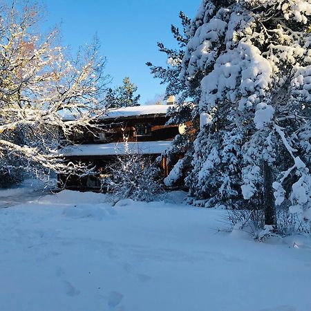 Kibuvitsa Holiday House Muratsi المظهر الخارجي الصورة